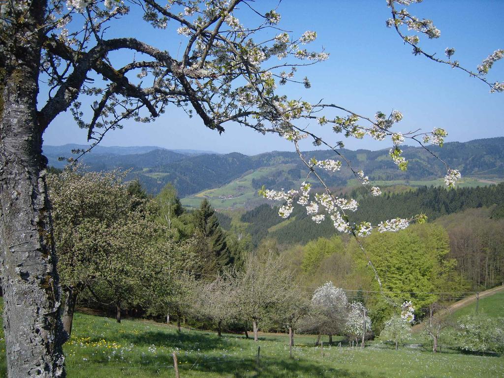 Langenberghof Lägenhet Oberharmersbach Exteriör bild