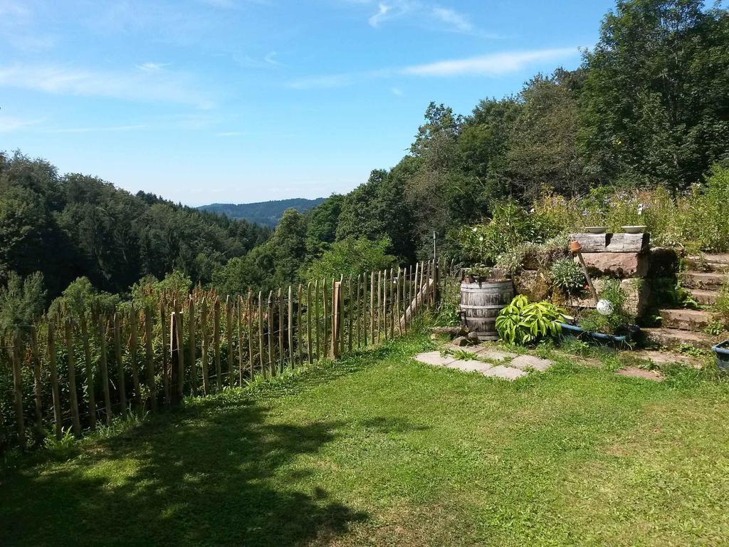 Langenberghof Lägenhet Oberharmersbach Exteriör bild