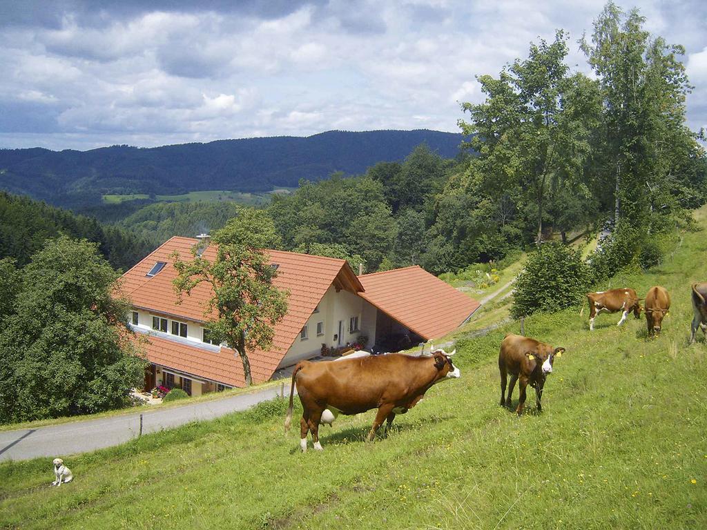 Langenberghof Lägenhet Oberharmersbach Exteriör bild