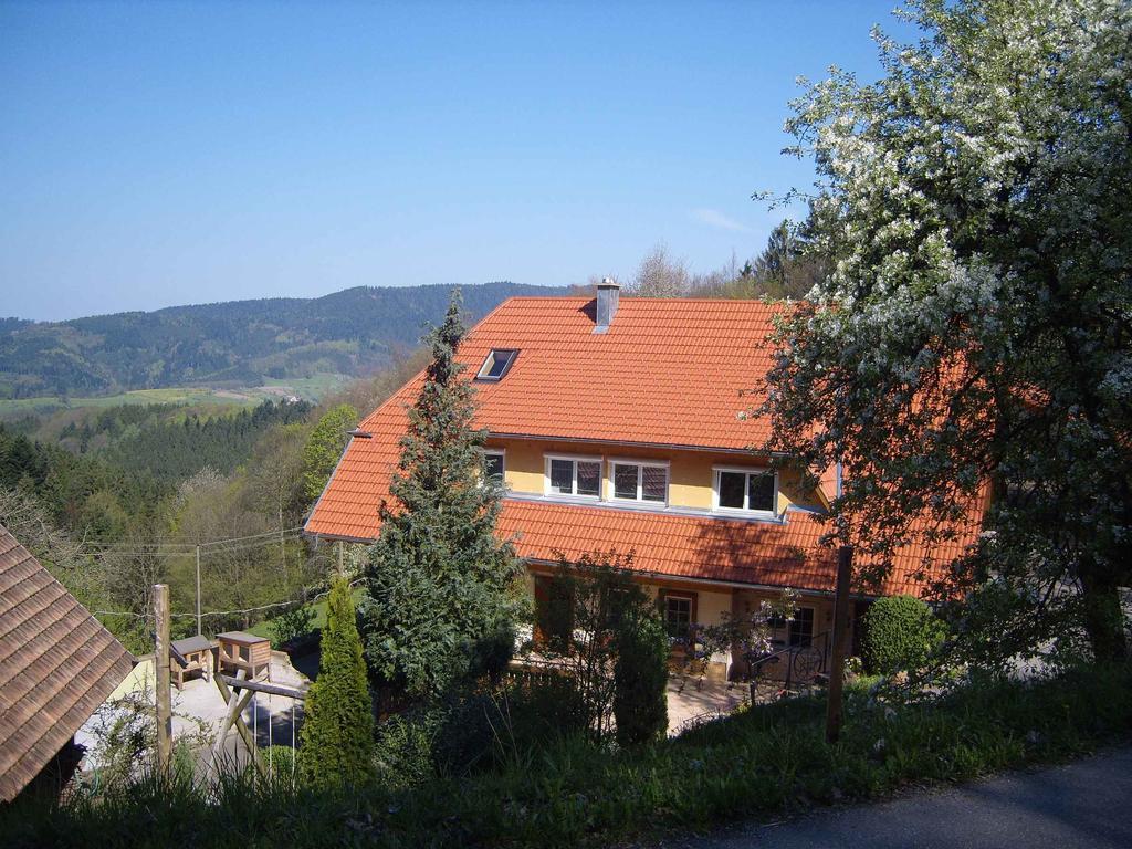 Langenberghof Lägenhet Oberharmersbach Exteriör bild