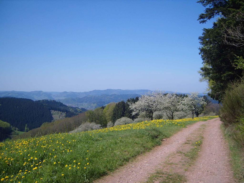 Langenberghof Lägenhet Oberharmersbach Exteriör bild