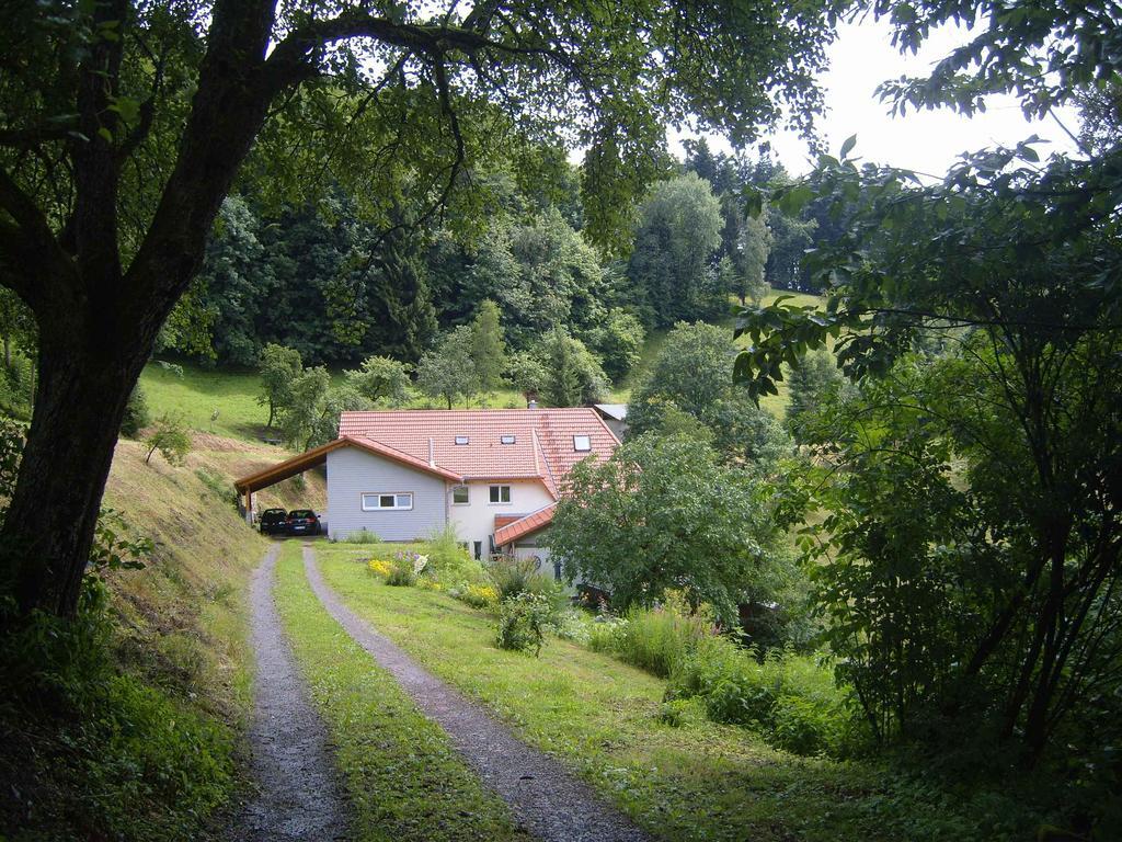 Langenberghof Lägenhet Oberharmersbach Exteriör bild