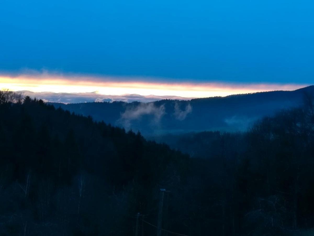 Langenberghof Lägenhet Oberharmersbach Exteriör bild