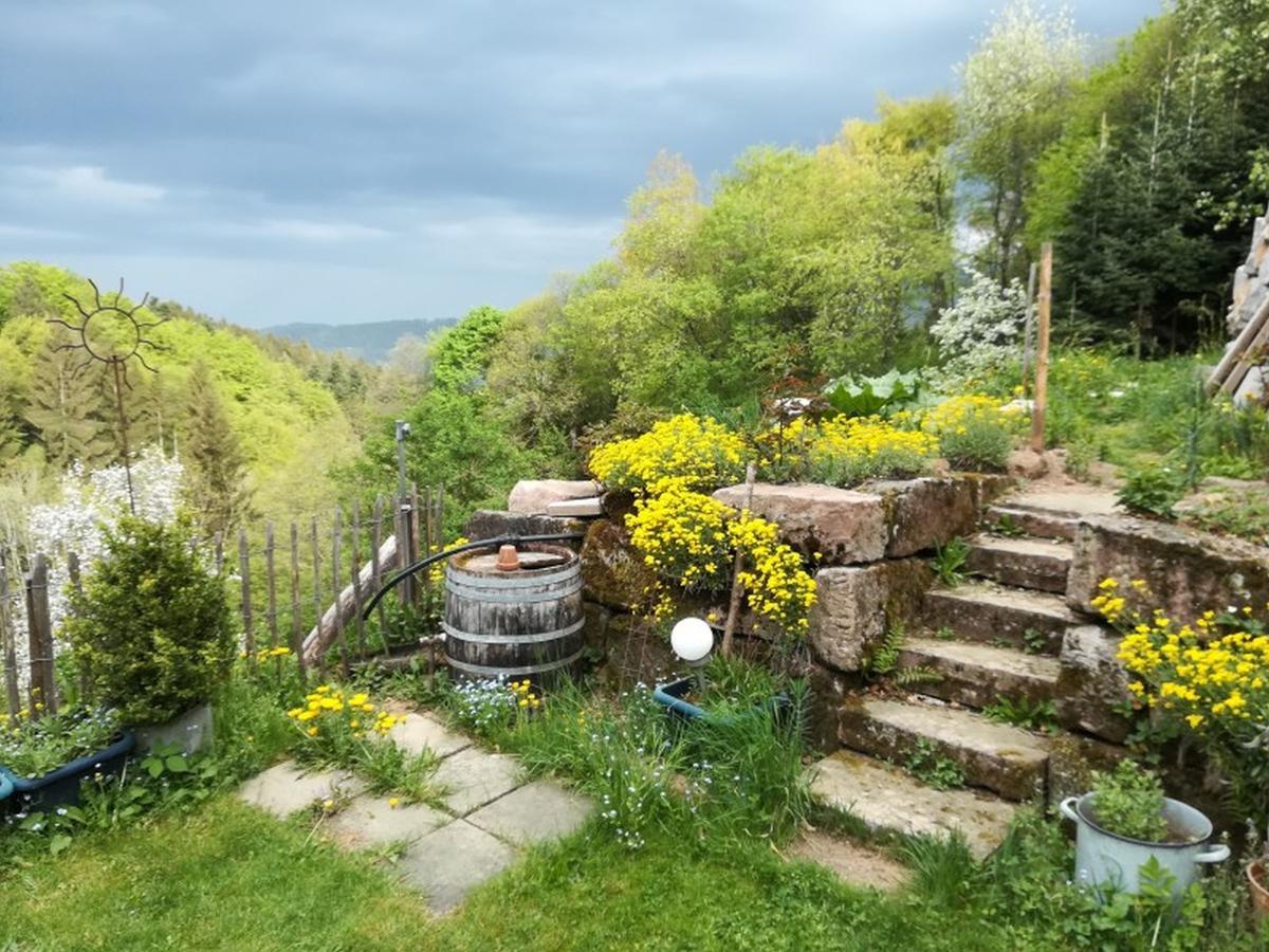 Langenberghof Lägenhet Oberharmersbach Exteriör bild