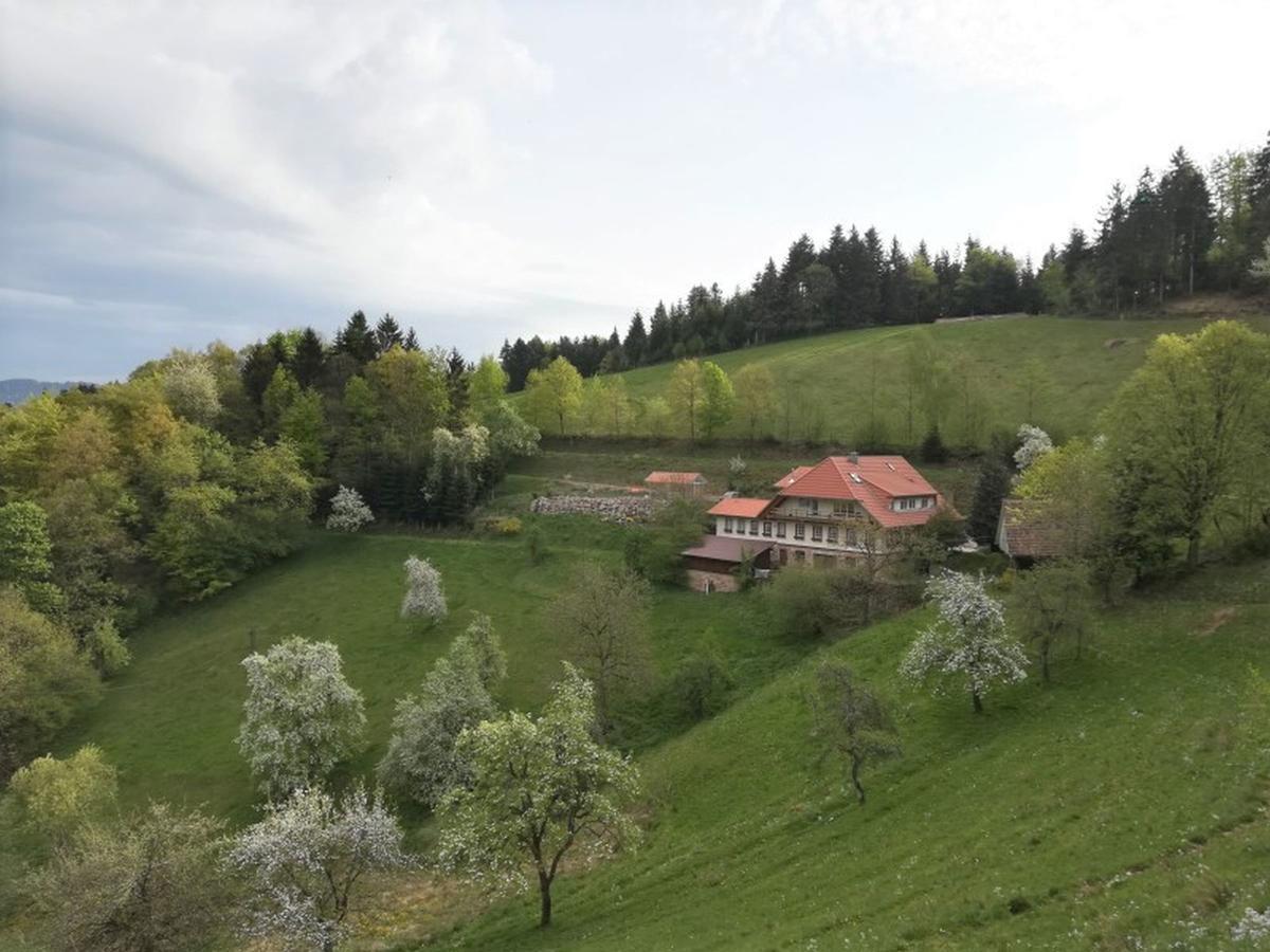 Langenberghof Lägenhet Oberharmersbach Exteriör bild