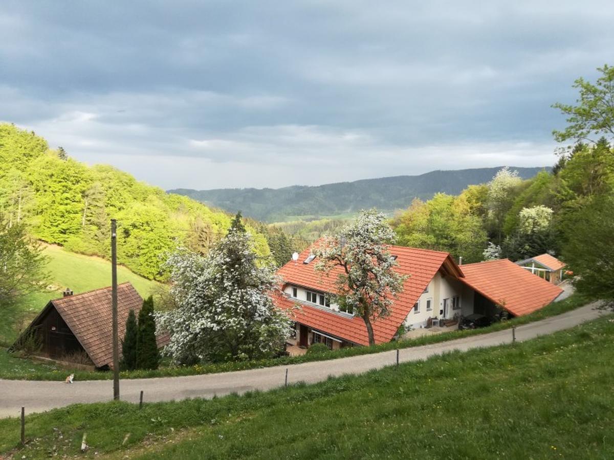 Langenberghof Lägenhet Oberharmersbach Exteriör bild