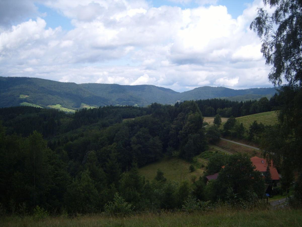 Langenberghof Lägenhet Oberharmersbach Exteriör bild