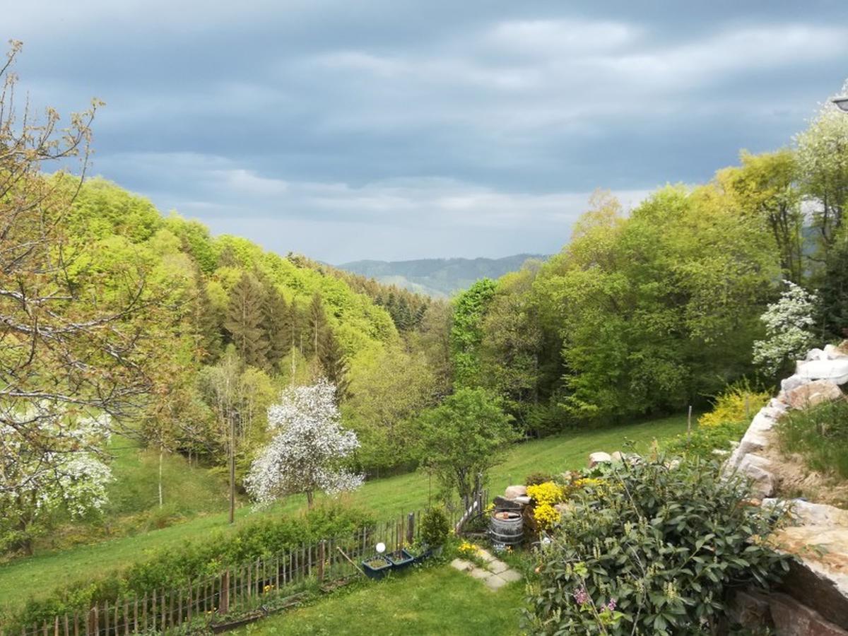 Langenberghof Lägenhet Oberharmersbach Exteriör bild