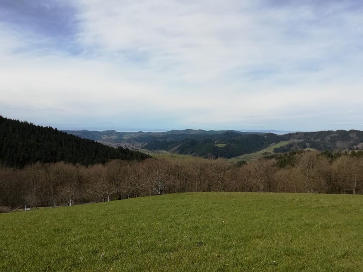 Langenberghof Lägenhet Oberharmersbach Exteriör bild