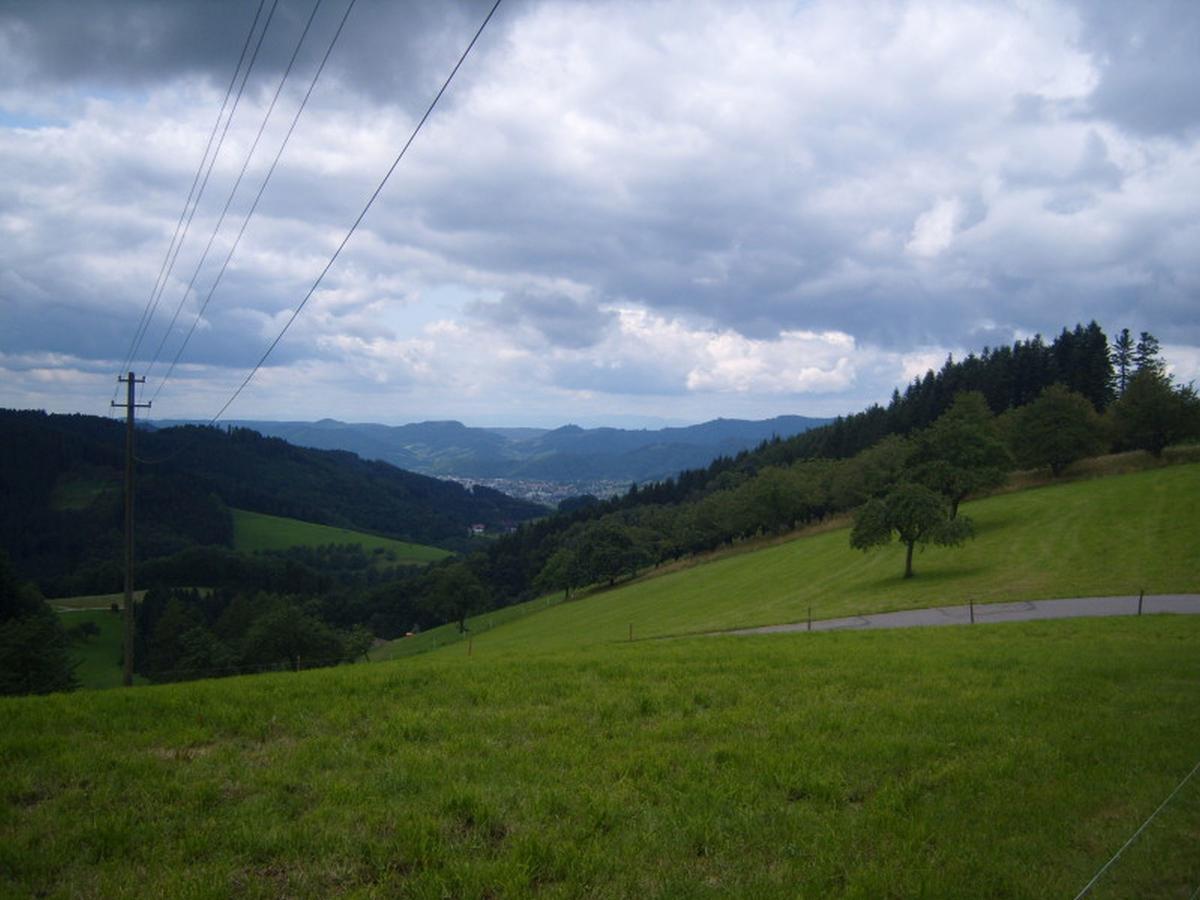 Langenberghof Lägenhet Oberharmersbach Exteriör bild